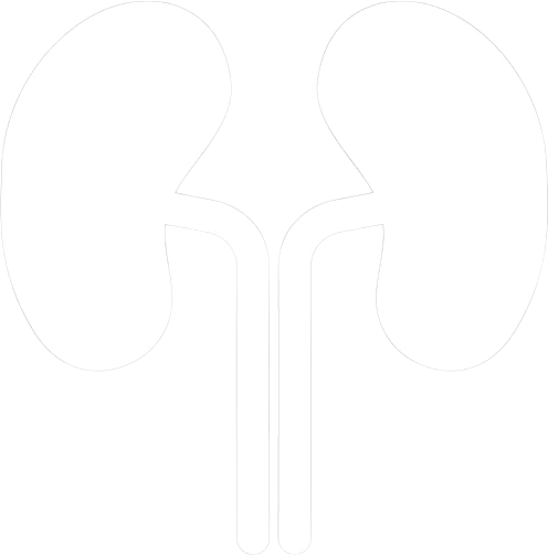 Kidney icon on black background: a simple, black silhouette of a kidney, representing the organ's shape and function.