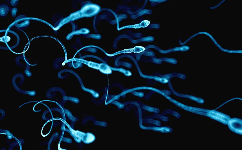 A group of blue sperm cells on a black background. Image representing the Best Infertility Hospital in Kota.